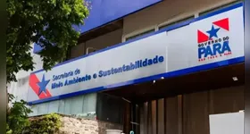 Secretaria de Estado de Meio Ambiente, Clima e Sustentabilidade está com vagas abertas. Veja como se inscrever!