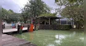 Neste domingo (21), o Parque Mangal das Garças promove oficina de biscuit para crianças, com atividades criativas e muito aprendizado.