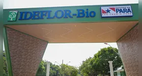 Instituto de Desenvolvimento Florestal e da Biodiversidade