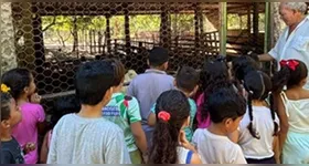 O novo pacote também reacende o debate sobre o papel da educação ambiental nas escolas brasileiras