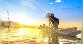 INSS inicia pagamento de R$ 874 milhões em benefícios para pescadores artesanais. Confira como consultar o benefício do seguro-defeso e mais detalhes.