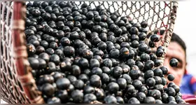 A liberação contempla produtos derivados de frutas