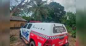 De acordo com o relatório oficial da Polícia Militar, o episódio violento motivou uma reação imediata dos vizinhos.