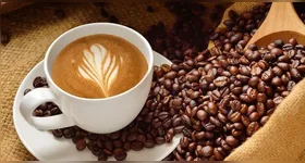 Todos os tipos de café possuem antioxidantes, minerais e compostos associados à proteção do coração e do cérebro.