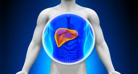 Gastroenterologista Maria Júlia Colossi aponta ultraprocessados e sedentarismo como os maiores vilões para o aumento da esteatose hepática de 18 a 29 anos.
