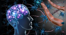 Muito além da digestão, o sistema digestivo possui uma rede neural própria que impacta diretamente o humor, a imunidade e a saúde mental.