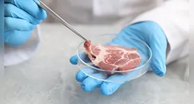 Técnica cultiva células animais sem necessidade de abate; protótipos de frango e salmão em 3D já são testados no país.