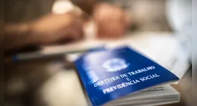 Balanço aponta expansão de empregos formais em 93 municípios; setor de Serviços puxa contratações e interior lidera crescimento.