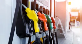 Ferramenta permite consultar nota de qualidade, histórico de fiscalizações e fazer denúncias. Consumidores também podem verificar a distribuidora de origem.
