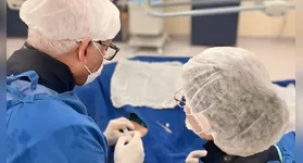 O Hospital Regional do Sudeste do Pará – Dr. Geraldo Veloso (HRSP) alcançou um marco significativo na assistência à saúde pública.