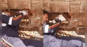 Vizinhos ouviram o choro da criança e acionaram o socorro; recém-nascido foi estabilizado e transferido de helicóptero para João Pessoa.