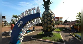 O Festival do Abacaxi de Floresta do Araguaia, um dos eventos culturais mais tradicionais do sul do Pará