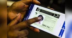 A integração entre os sistemas da Receita Federal e dos Detrans tornou a conferência das informações cadastrais mais rigorosa.