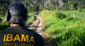 O Ibama está entre as muitas oportunidades na área ambiental