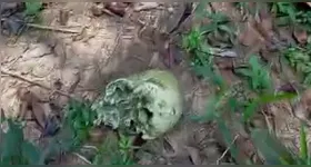 Forças de segurança encontraram a ossada dentro de um terreno numa zona rural