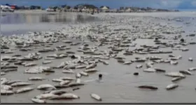 Situações semelhantes já foram registradas em anos anteriores na mesma região, sobretudo durante o inverno amazônico.