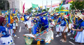 O Arrastão do Pavulagem é uma manifestação construída coletivamente há quase quatro décadas.