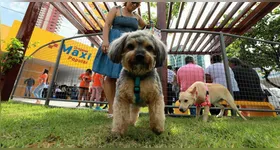 O objetivo do evento é garantir acesso de tutores a cuidados veterinários e informação sobre guarda responsável.