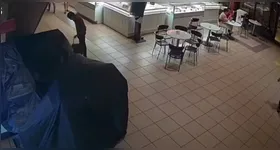 Em um dos registros, o homem aparece escondido sob a lona de um quiosque de joias na Estação das Docas.