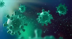 Organização Pan-Americana da Saúde (OPAS) reforça que a circulação da influenza está sendo monitorada com atenção.