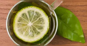 Especialistas reforçam que nenhum alimento sozinho garante mudanças significativas na saúde.