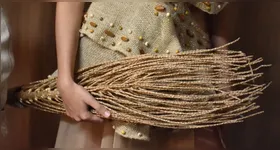 Imagem ilustrativa. Peça foi apresentada durante a a Semana de Moda Amazônica 2025.