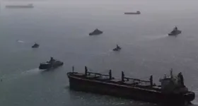 Estratégia de proteção do Estreito de Ormuz poderá contar com golfinhos
