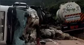 Carretas destruídas e bois mortos em meio à BR-163