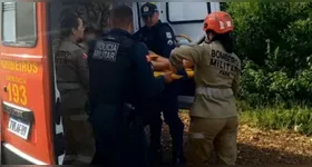 Após fugir, a vítima foi socorrido pelo Corpo de Bombeiros