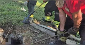 O Corpo de Bombeiros encontrou o corpo dentro da fossa em uma área rural