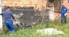 Corpo foi encontrado em área de mata no bairro do Tapanã, em Belém