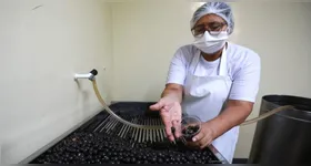Novo sistema digital da Prefeitura de Belém emite carteira com QR Code para manipuladores de alimentos e batedores de açaí