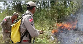 Brigadistas florestais atuarão em regiões prioritárias do Pará.