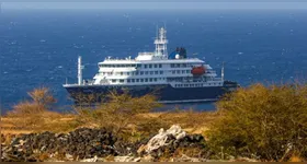 A Organização Mundial da Saúde (OMS) confirmou cinco infecções entre passageiros do navio MV Hondius, incluindo três mortes.