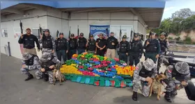 A operação contou com a participação integrada de agentes do Gflu, Polícia Militar, Polícia Civil, Corpo de Bombeiros Militar e equipes do batalhão de Santarém, dentro da operação “Brasil Contra o Crime Organizado”.
