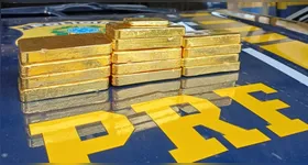 Ouro estava escondido em um fundo falso localizado durante fiscalização na BR-230