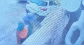 Câmeras instaladas no motorhome registraram o momento em que um homem tenta abrir o veículo na Praça do Arame.