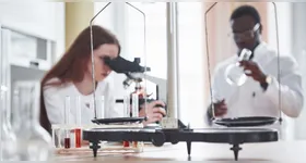 Nova estratégia do MCTI define diretrizes para fortalecer ciência, tecnologia e inovação no Brasil até 2034.