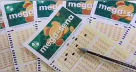 Segundo a mulher, ela e o então companheiro haviam firmado um acordo para realizar apostas em conjunto e dividir igualmente qualquer prêmio conquistado. No entanto, após a cota do casal ser premiada no bolão da Mega-Sena, ela afirma que não recebeu a parte que lhe cabia e decidiu recorrer à Justiça.