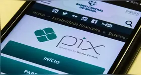 Ao anunciar a aplicação da nova tarifa sobre produtos brasileiros, um representante da Casa Branca afirmou que a intenção do governo norte-americano não é extinguir o Pix, mas garantir que o sistema dispute mercado em condições consideradas equivalentes às das empresas privadas dos Estados Unidos.