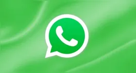 A funcionalidade gratuita permite abrir o PDF em tela cheia e realizar anotações simples sem sair do WhatsApp.