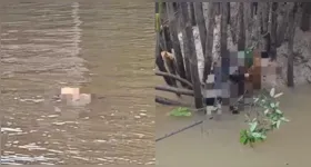 Imagens compartilhadas nas redes sociais mostram alguns dos cães envenenados boiando no rio da região.