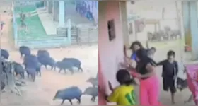 Internautas reagiram com bom-humor ao registro e chamaram atenção para o perigo da situação.