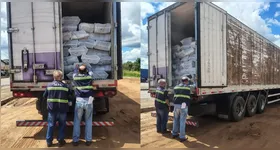A Sefa apreendeu 30 toneladas de polpa de açaí no Pará por irregularidades fiscais, envolvendo uma empresa com cadastro suspenso.
