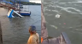 Imagens feitas por pessoas presentes no local rapidamente viralizaram nas redes sociais e mostram passageiros que saíram da van e nadaram até a margem do rio logo antes da imersão total do veículo.