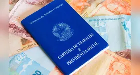 Se aprovado, piso salarial dos médico-veterinários e zootecnistas será de R$ 10 mil
