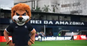 O Leão segue a reação no Brasileirão