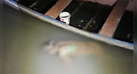 Trecho do Rio Itacaiúnas onde o corpo de Darlan da Penha Nunes foi encontrado por moradores da região.