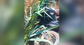 Peritos e policiais civis analisam a área de mata densa às margens da PA-279 onde o corpo de Laércio Anunciação da Silva foi localizado por populares.