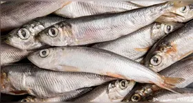 A Anvisa determinou o recolhimento de um lote de sardinha congelada da marca Laje